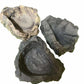 Reptile/Hermit Crab/Tarantula Stone Look Dishes Asst.Colors 48pc