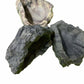 Reptile/Hermit Crab/Tarantula Stone Look Dishes Asst.Colors 48pc
