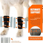 NeoAlly 3-in-1 Front Leg Dog Splint Brace: Rigid & Spring Inserts, Safety Reflective Straps (Pair)