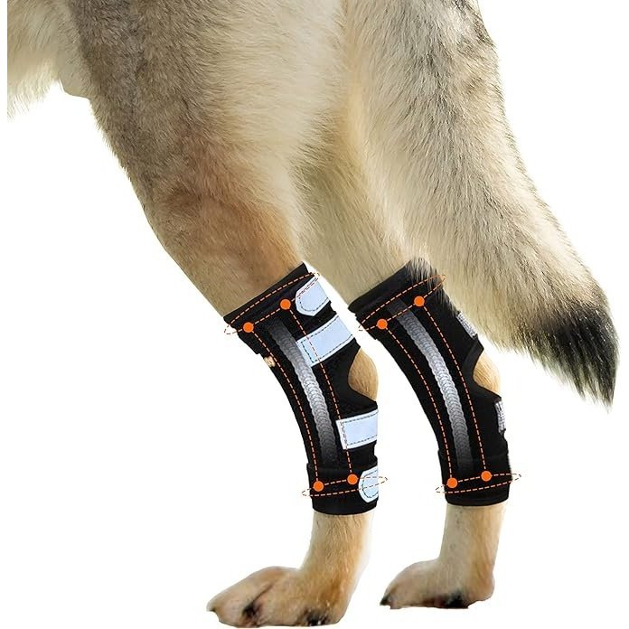 Rodillera NeoAlly para patas traseras de perro con tiras de metal para perros grandes [versión larga] (par)