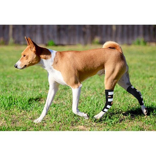 Rodillera NeoAlly para patas traseras de perro con tiras de metal para perros grandes [versión larga] (par)