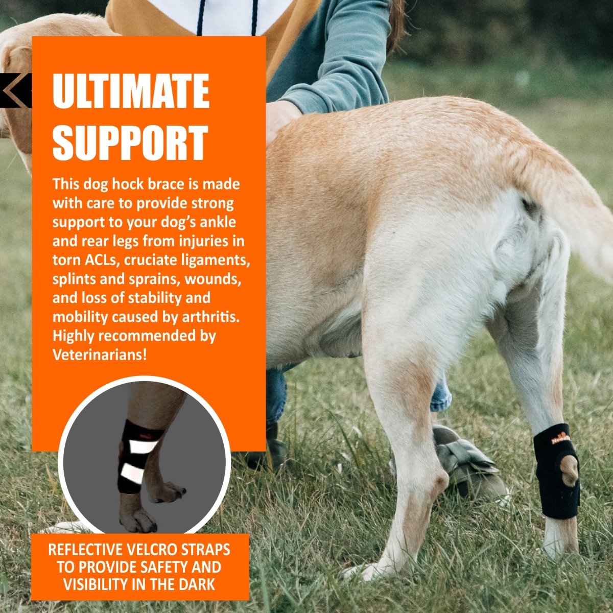 Rodillera trasera para perros NeoAlly con correas reflectantes de seguridad para perros pequeños [versión corta]