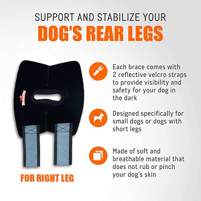 Rodillera trasera para perros NeoAlly con correas reflectantes de seguridad para perros pequeños [versión corta]