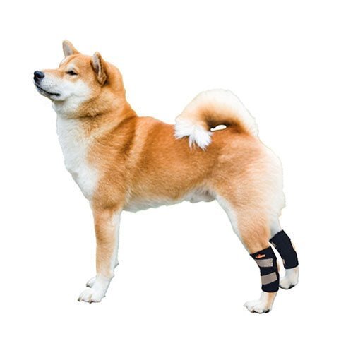 Rodillera trasera para perros NeoAlly con correas reflectantes de seguridad para perros pequeños [versión corta]