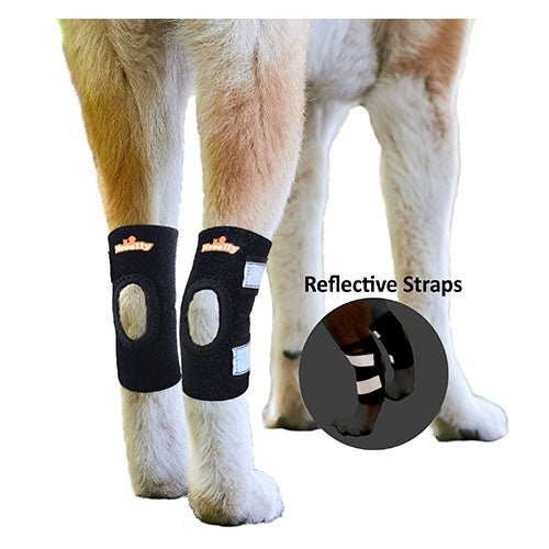 Rodillera trasera para perros NeoAlly con correas reflectantes de seguridad para perros pequeños [versión corta]