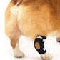 Rodillera trasera para perros NeoAlly con correas reflectantes de seguridad para perros pequeños [versión corta]