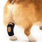 Rodillera trasera para perros NeoAlly con correas reflectantes de seguridad para perros pequeños [versión corta]