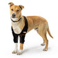NeoAlly Elbow and Shoulder Brace with Spring Inserts for Dogs and Cats - Enhance Pet Mobility with Optimal Support