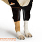 NeoAlly Elbow and Shoulder Brace with Spring Inserts for Dogs and Cats - Enhance Pet Mobility with Optimal Support