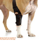 NeoAlly Elbow and Shoulder Brace with Spring Inserts for Dogs and Cats - Enhance Pet Mobility with Optimal Support