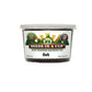 Oak Tree Grow Kit | Grow Mighty Oak from Seed | Seeds In A Cup®