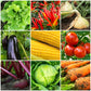 The Old Farmer's Almanac Organic Tomato & Vegetable Plant Food 8-4-8