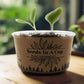 Beans | Plant Seed Starter Grow Kit | Seeds In A Cup®