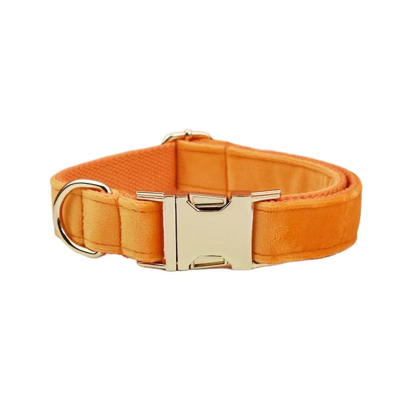 Orange Velvet Set