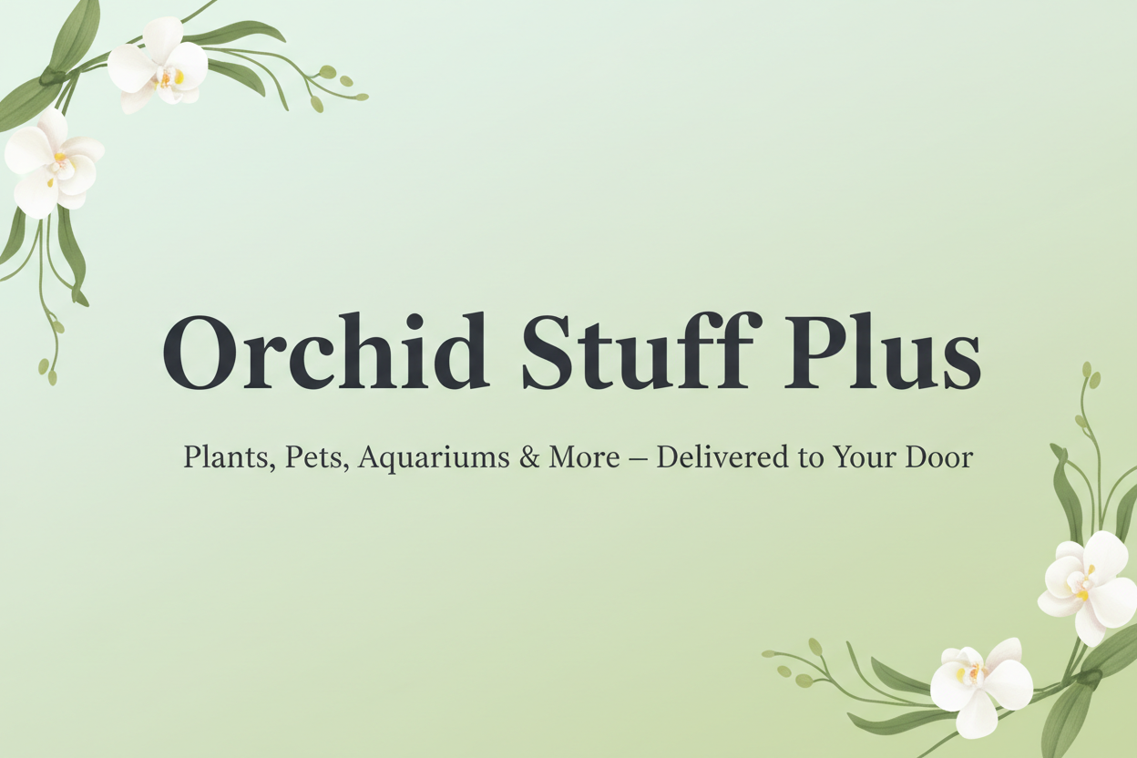 Orchid Stuff Plus Simplified Hero Banner
