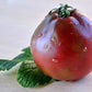Organic Black Truffle Japanese Tomato Seeds - Non GMO - Easy to Grow Vegetable Garden