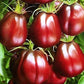 Organic Black Truffle Japanese Tomato Seeds - Non GMO - Easy to Grow Vegetable Garden