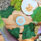 Organic Eggplant Seeds