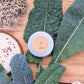 Organic Kale Seeds
