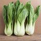 Pak Choi - 500 Seeds - Bok Choy Asian Vegetable Seeds Chinese Cabbage
