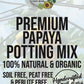 Papaya Premium Potting Mix