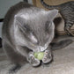 Pawbreakers Bonkas Catnip Candy Ball Cat Toy - Edible Catnip Treat & Toy