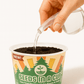 Cucumber | Plant Seed Starter Grow Kit | Seeds In A Cup®