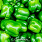 Cal Wonder Sweet Bell Pepper – 30 Seeds