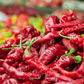 Jimmy Nardello's Pepper – 25 Seeds