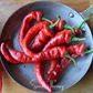 Jimmy Nardello's Pepper – 25 Seeds