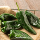 Poblano Ancho Grande Pepper – 25 Seeds