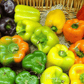 Rainbow Bell Sweet Pepper – 25 Seeds