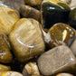 Petrified Wood Tumbled Stone