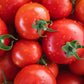1 Oz Bulk ITALIAN TREE TOMATO 'Trip L Crop' Seeds - 1 Ounce = Approx 9500 Seeds