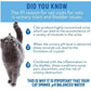 CATWATER by VETWATER | ph-Balanced and Mineral-Free Cat Water | 16.9 oz bottle