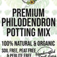 Philodendron Premium Potting Mix