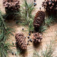 Pine Cone Decoration