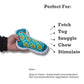 Squeaky Sock Plush Dog Toy – Whimsy Wonders Pineapple Design