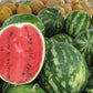 100 CRIMSON SWEET WATERMELON Citrullus lanatus Fruit Melon Seeds