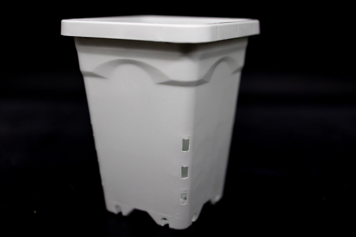 Venus Flytrap Repotting Kit - Premium Venus Flytrap Soil With High Quality Planters 5x5x7