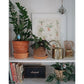 Plant Species Poster