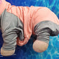 The Jumpsuit  is Great for a light outfit for indoors or out. - Pullover Super Soft