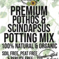 Pothos & Scindapsus Premium Potting Mix