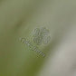 Potting Mat - Waterproof For Tidy Gardening