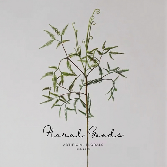 Airy Fern Branch