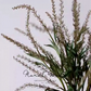 Airy Grass Spray (Ornamental Grass) – 37"