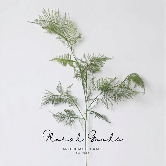 Airy Asparagus Fern Branch