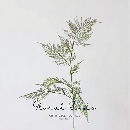 Airy Asparagus Fern Branch