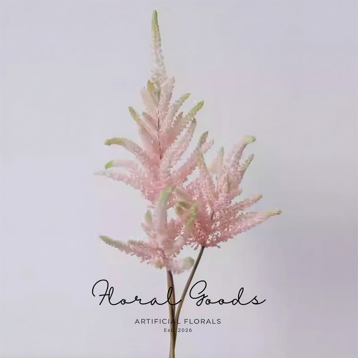 Blush Astilbe Spray