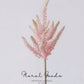 Blush Astilbe Spray